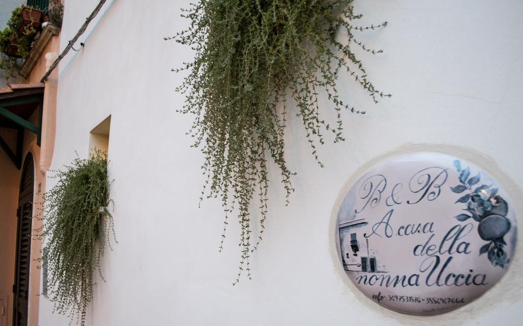 B&B A Casa Della Nonna Uccia 나르도 외부 사진